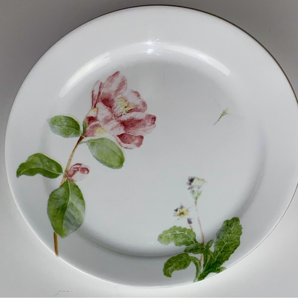 Set of 4 Vitrelle Corell Camellia Dinner Plates 10.25” wide